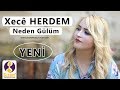 Xec herdem  neden glm akustik