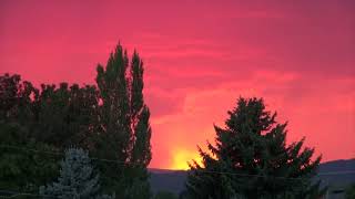 Angry Canadian August 12, 2022  - Beautiful Sunset, Very Vivid Color -  Thunder, Lightning And Deer