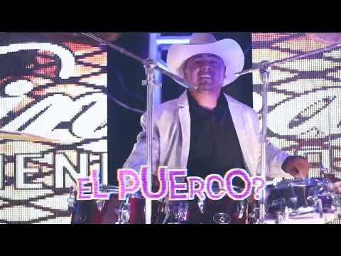Donde esta el puerco 🐷- Grupo Dinastía Mendoza