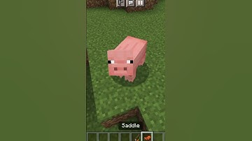 CAN WE RIDE A PIG !?🐖🤯 in MINECRAFT || #minecraft #shorts