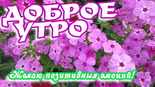 Доброе Утро! 🌸Желаю Позитивных Эмоций 🌸Замечательное Пожелание!🌸Good Morning!🌸