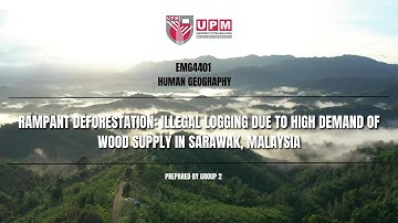 Rampant Deforestation: Illegal logging due to high demand of wood supply in Sarawak, Malaysia