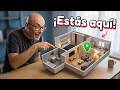 ¡Lo puse en TODAS las habitaciones! Detección inteligente de habitaciones 😲