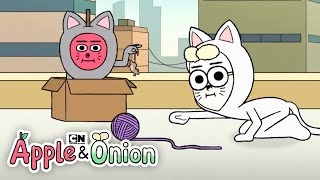 Silliest Moments Compilation | Apple and Onion | Cartoon Network