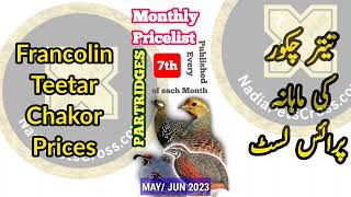 Partridge Pricelist MAY 2023 | Francolin Teetar Chukar Chakor Quail Monthly Prices ‎@NadiaPetsCross 