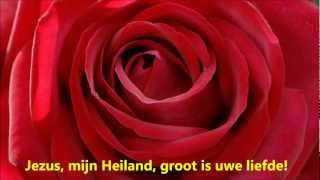 Video thumbnail of "Jezus, mijn Heiland - Geestelijke Liederen 230 / Joh. de Heer 62"