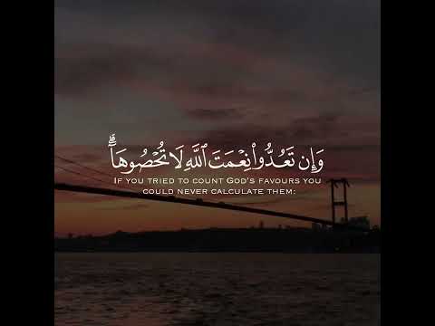 يافتاح ياعليم يارزاق ياكريم اللهم ارزقنا من فضلك سبحان الله الحمدلله الله اكبر قرآن أطمئن