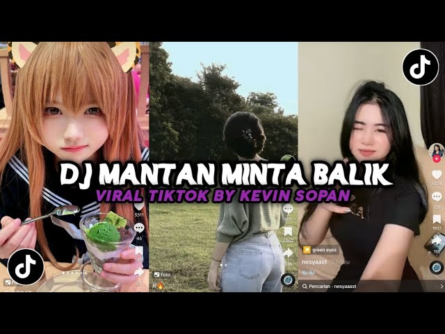 DJ MANTAN MINTA BALIK BY KEVIN SOPAN | VIRAL TIKTOK DIMAS SOPAN class=