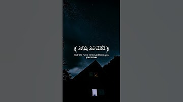 القارئ _ محمد صديق المنشاوي