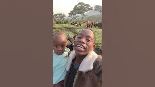 AGALIA VITUKO VYA NYANDA KABUNDI UTACHEKA