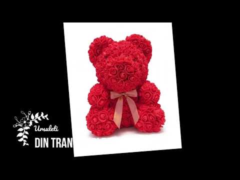 Ursuleti Trandafiri Ursuleti De Spuma Ursuleti Trandafiri Spuma
