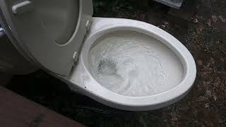 2006 Gerber Maxwell Flush Tests.