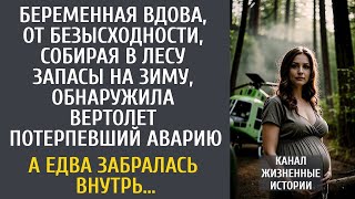 видео: Беременная вдова собирая в лесу запасы на зиму, обнаружила упавший вертолет… А едва забралась внутрь картинка: Беременная вдова собирая в лесу запасы на зиму, обнаружила упавший вертолет… А едва забралась внутрь