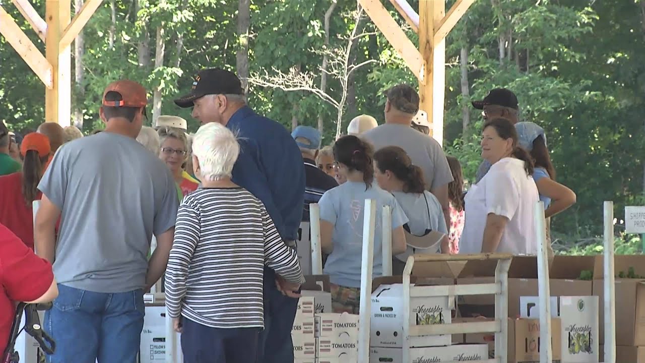 Fresh Produce Auction YouTube