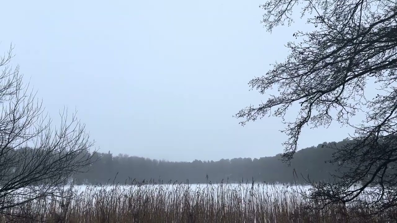 Званные или избранные (гости…)