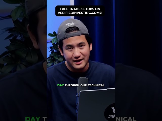 6-8 Free Trade Setups Every Day | Verified Investing #Shorts