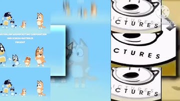 16 Shuric Scans with are slides