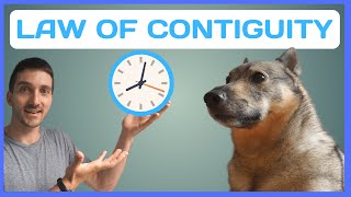 The Law of Contiguity in Dog Training by Train Me Please 896 views 11 months ago 4 minutes, 57 seconds