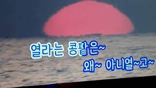 강원도 아리랑/ 조용필/ 유니콘 커버 강원도 아리랑/ 조용필/ 유니콘 커버