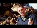 Beginning of video
