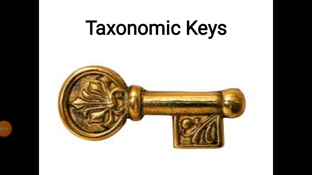 #Taxonomic#Keys#M.Sc.#Zoology#Dr#Seema#Saxena.