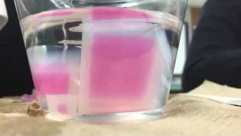 AP BIO CELL SIZE & DIFFUSION LAB