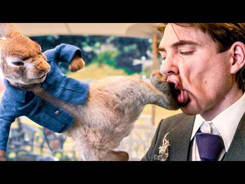 PETER RABBIT 2 Funniest Scenes 😂 4K