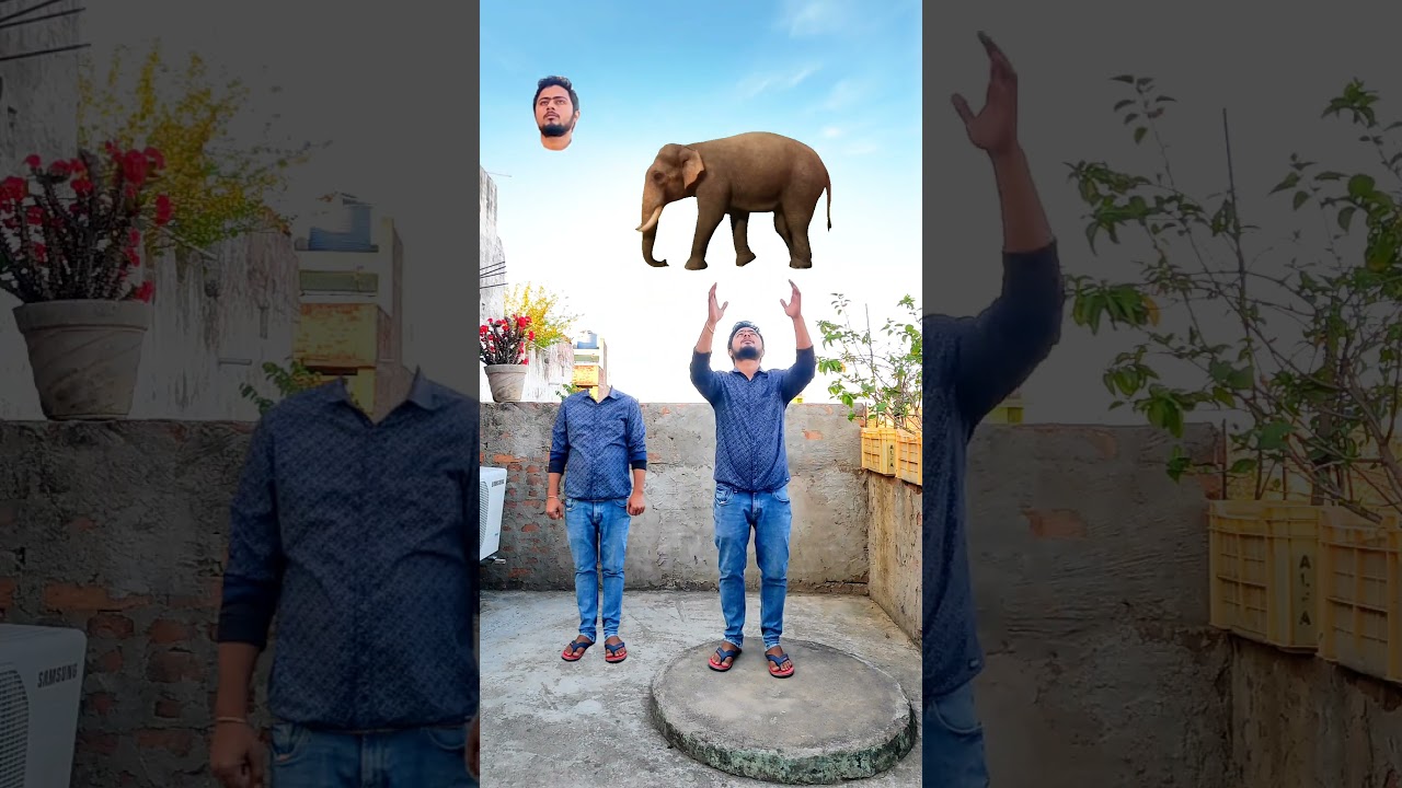 Flying body parts matching & catching elephant & cat funny vfx magic | Kinemaster editing