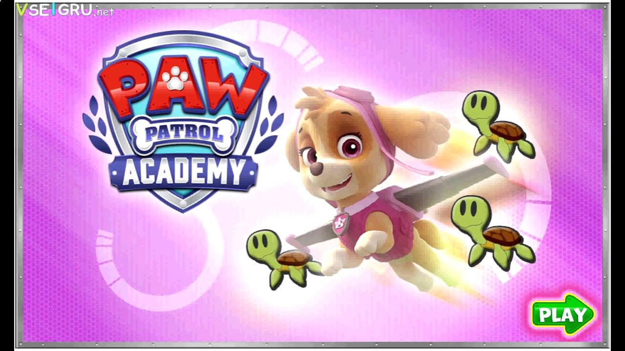 Paw Patrol - Academy Game