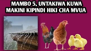 CHANGAMOTO ZA MAGONJWA KWA KUKU, KIPINDI HIKI CHA MVUA. #chicken #ufugaji