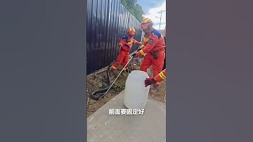 险象“蛇”生！眼镜王蛇出没，消防员紧急处置。｜中国西藏　国家二级保护动物　毒蛇　野生动物　#shorts #China