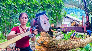 GENIUS GIRL: Control The Crane To Transport Giant Trees | Tran Dieu Linh  Daily Life