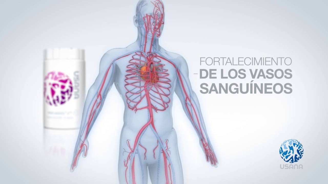 Proflavanol® C100 | Potente suplemento de bioflavonoides