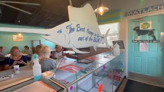 Blue Dog Bar & Grill