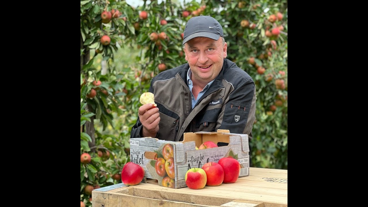 Obsthof Raddatz - Delbarestivale