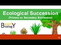 Ecological Succession: The Journey of Ecosystems Through Change