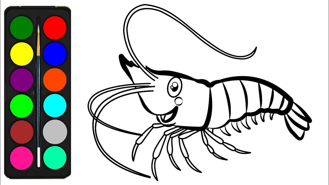 Shrimp Coloring Pages for Kids - Drawing of Shrimp - How to Draw a