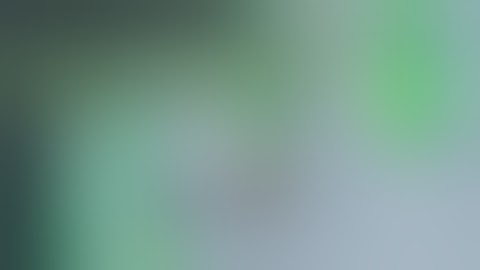 Zerando M.I.B Alien Assault (EMULADOR DE JAVA PARA ANDROID)