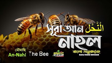 সূরা আন-নাহল Surah An Nahl bee   سورة النحل অনুবাদ ❤  Hafej FAHAD HOSSAIN   ▶mahfuz art of nature