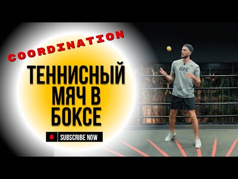 Бокс. Координация и передвижения. Тренировка с теннисным мячом.