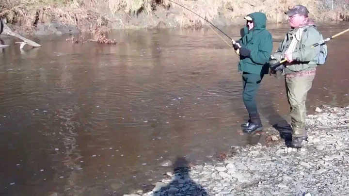 Chris VanDyke Big Hen Steelhead on Ashtabula Creek...