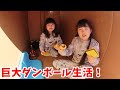 【撮影の裏】新車購入!バービーキャンピングカーを組み立てる時に子供はダンボール生活? - はねまりチャンネル