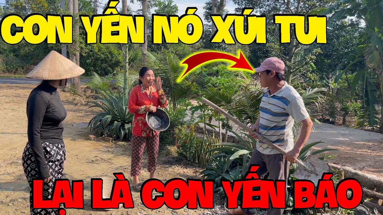 Dâu Báo Bày Trò Làm Cha Mẹ Chồng Choảng Nhau Luôn