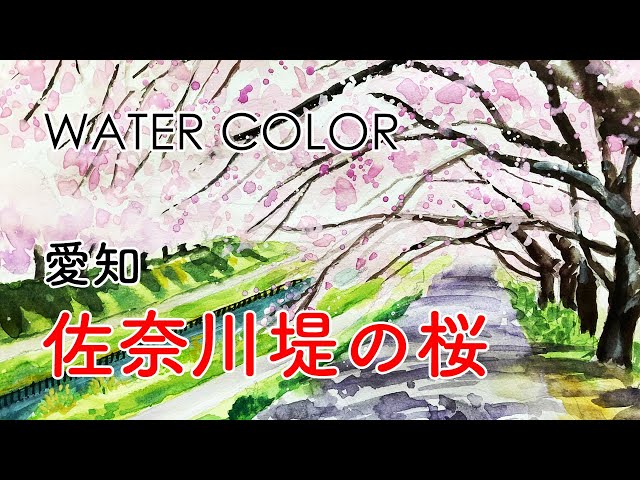 水彩画 愛知 佐奈川堤の桜 Watercolor Litetube