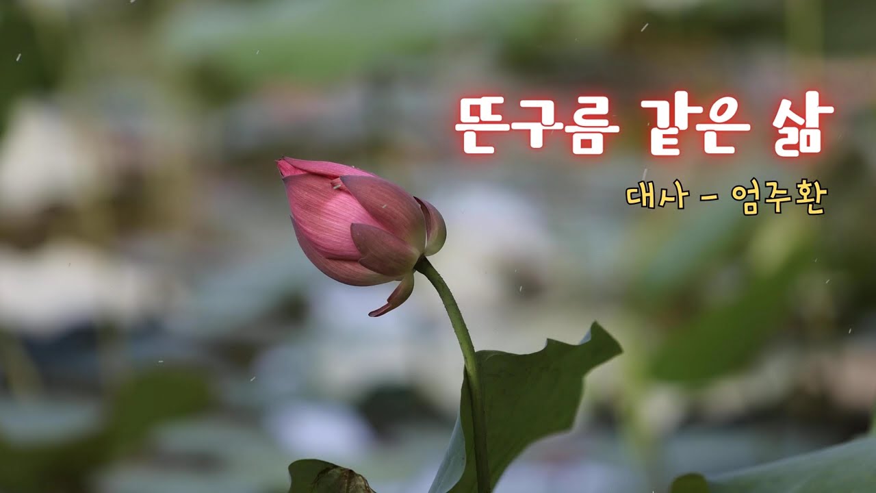 뜬구름 같은 삶  명상의말씀   대사   엄주환