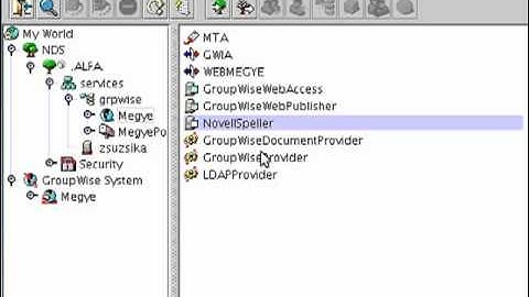 GroupWise WebAccess