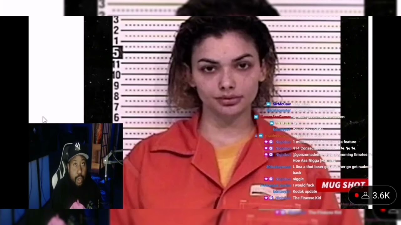 DJ Akademiks speaks on Celina Powell getting arrested and sentenced to