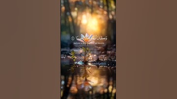 [ الفرقان: 70 ] سورة : الفرقان - Al-Furqan  - الجزء : ( 19 )  -  الصفحة: ( 366 )