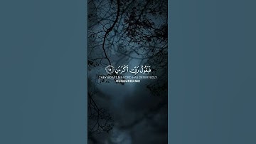 سورة الفجر بصوت الشيخ ماهر المعيقلي