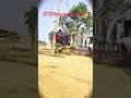Whellie..,,   #stunt  #viralvideo #kolkata #whellie  #short  #tiktok